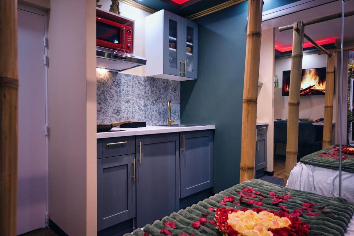Apartment Le Petit Sensual Bali Option 300m Place Stanislas
